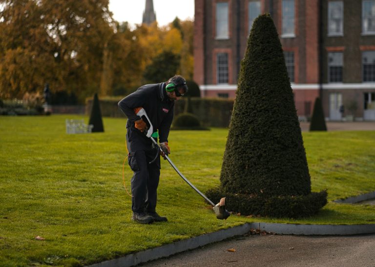 Passendes Motiv zur Gartenpflege & Außen­anlagen